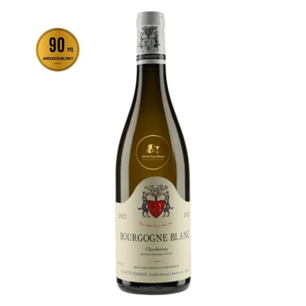 Geantet-Pansiot Bourgogne Chardonnay 2022
